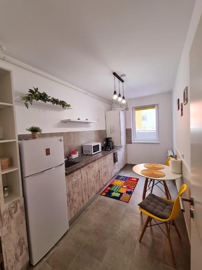Appartement Studio Red à Braşov Extérieur photo